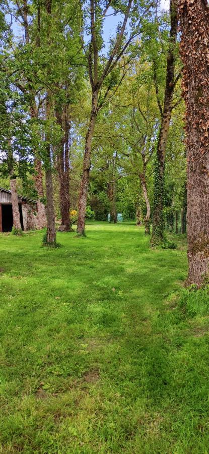 Le Gite De L'Ecurie Forges-la-Foret Exterior foto